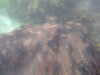 20100709150035-PICT0043.JPG