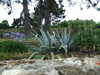 20100711143304-DSCF6075.JPG