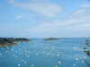 20100711154101-DSCF6076.JPG