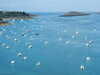 20100711154117-DSCF6077.JPG