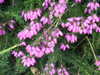 20100711155023-DSCF6078.JPG