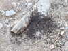 20100711162611-DSCF6088.JPG
