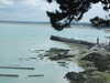 20100711165733-DSCF6091.JPG