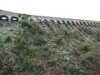 20100712151417-DSCF6105.JPG