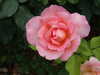 20100712153618-DSCF6118.JPG
