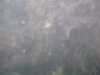 20100713150502-PICT0003.JPG