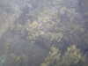 20100713150602-PICT0004.JPG