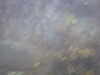 20100713150702-PICT0005.JPG