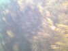 20100713151700-PICT0015.JPG