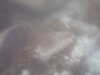 20100713152100-PICT0019.JPG