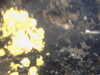 20100713152400-PICT0022.JPG
