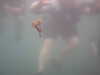20100713152900-PICT0027.JPG