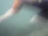 20100713153700-PICT0035.JPG