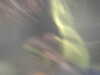 20100713154100-PICT0039.JPG