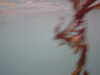 20100713155300-PICT0051.JPG