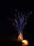 20100713231935-DSCF6137.JPG