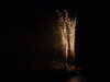 20100713232450-DSCF6141.JPG