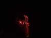 20100713232646-DSCF6147.JPG
