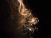 20100713232713-DSCF6149.JPG