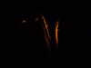 20100713232814-DSCF6154.JPG