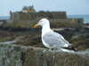 20100714130224-DSCF6162.JPG