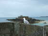 20100714130228-DSCF6163.JPG