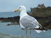 20100714130242-DSCF6164.JPG