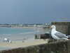 20100714130259-DSCF6165.JPG