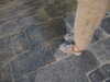20100714194231-IMG_1320.JPG