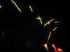 20100714210942-IMG_1365.JPG