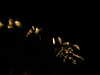 20100714211503-IMG_1377.JPG