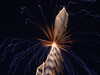 20100714230339-DSCF6291.JPG