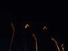 20100714230755-DSCF6301.JPG