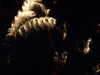 20100714231702-DSCF6328.JPG
