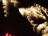 20100714231713-DSCF6329.JPG