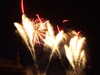 20100714231729-DSCF6331.JPG