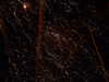 20100714232108-DSCF6337.JPG