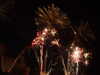 20100714232214-DSCF6341.JPG