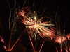 20100714232450-DSCF6351.JPG