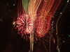 20100714232514-DSCF6354.JPG