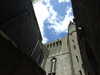 20100715133549-DSCF6385.JPG