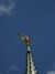 20100715134613-DSCF6389.JPG
