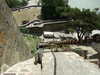 20100715144553-DSCF6412.JPG