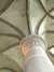 20100715152240-DSCF6431.JPG