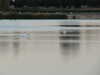 2010-07-17:arques
