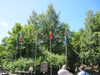 20100718105923-IMG_1581.JPG