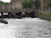 20100916121502-IMG_2137.JPG