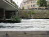 20100916134401-IMG_2203.JPG