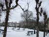 20101204131010-DSCF6708.JPG