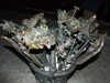 20101204171903-DSCF6737.JPG